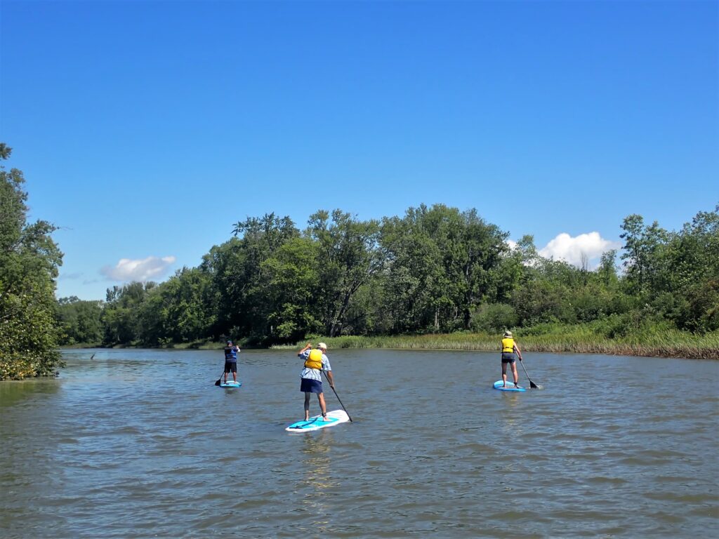 SUP Lessons SUP Lessons