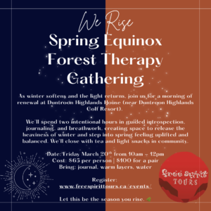 Info duplicated on page.