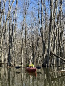 Man sitting in kayak in wooded wetlands