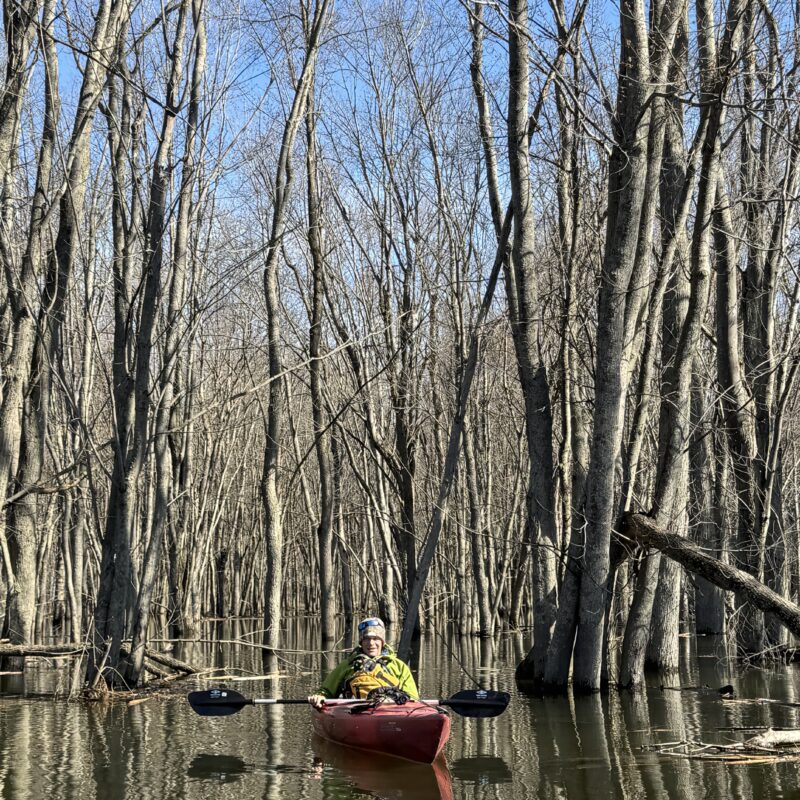 Man sitting in kayak in wooded wetlands