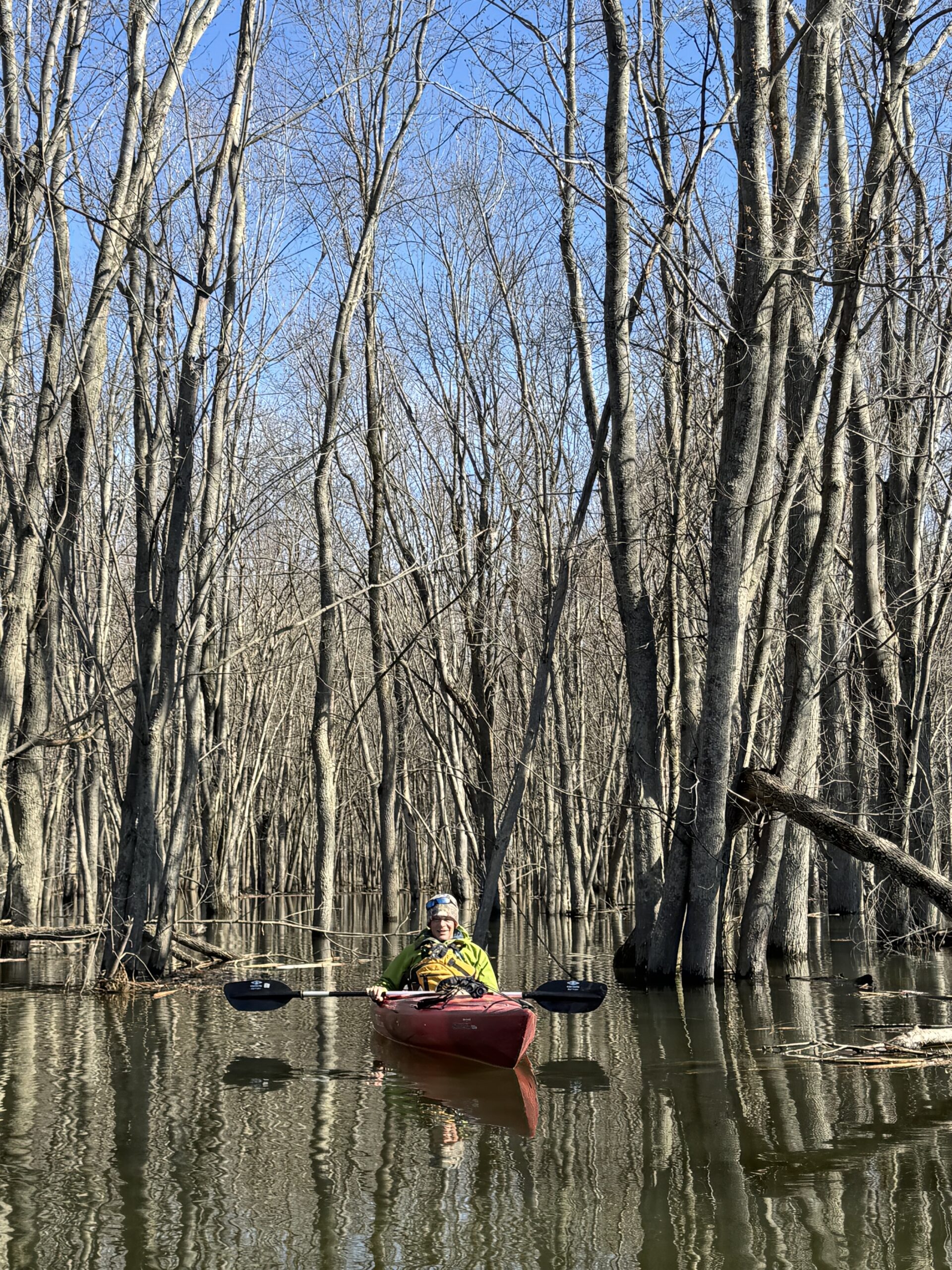 Man sitting in kayak in wooded wetlands